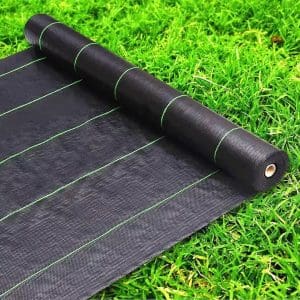 Bạt chống cỏ mọc khổ 4M