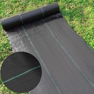 bạt chống cỏ mọc khổ 2m